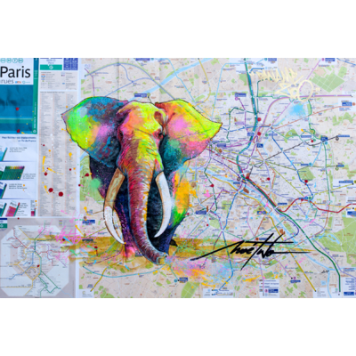 2014-plan-panamezoo-elephant